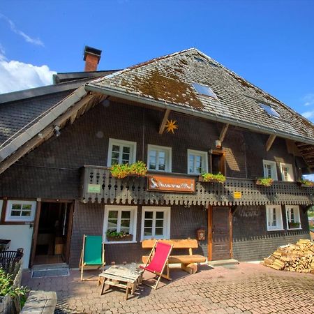 Wohlfuehl-Ferienwohnung 80 Qm, 8 Personen, Aussicht & Heimkino Todtnau Exterior foto