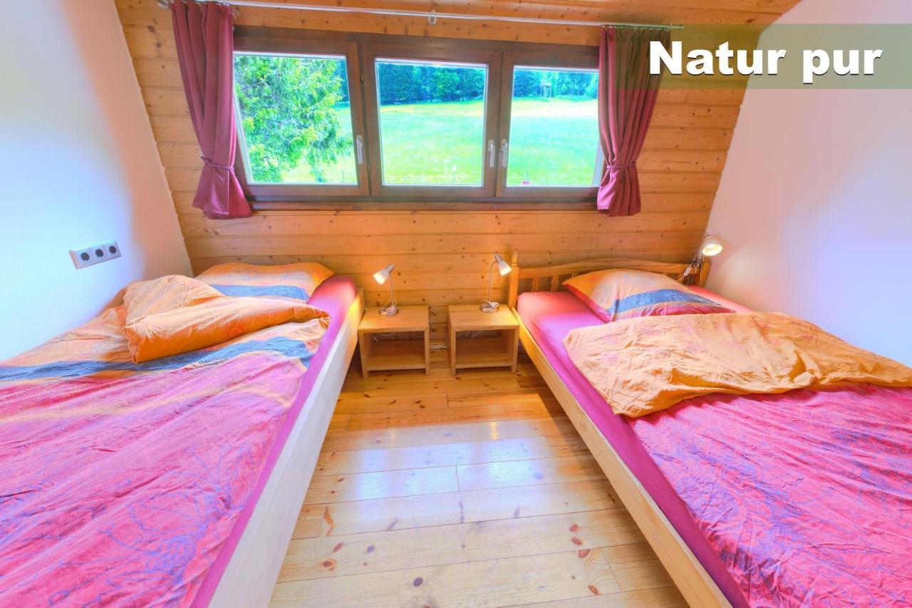 Wohlfuehl-Ferienwohnung 80 Qm, 8 Personen, Aussicht & Heimkino Todtnau Exterior foto