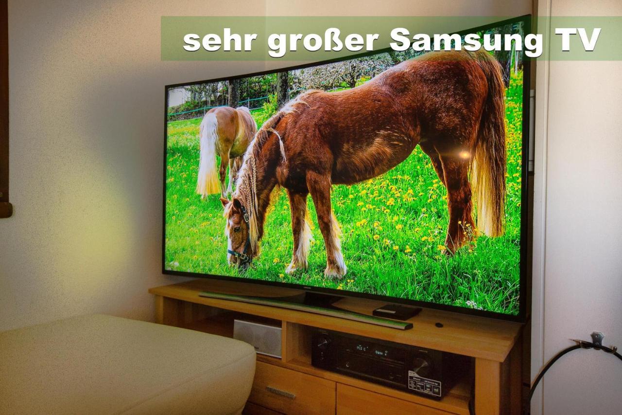 Wohlfuehl-Ferienwohnung 80 Qm, 8 Personen, Aussicht & Heimkino Todtnau Exterior foto