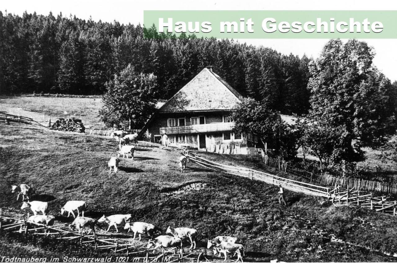 Wohlfuehl-Ferienwohnung 80 Qm, 8 Personen, Aussicht & Heimkino Todtnau Exterior foto